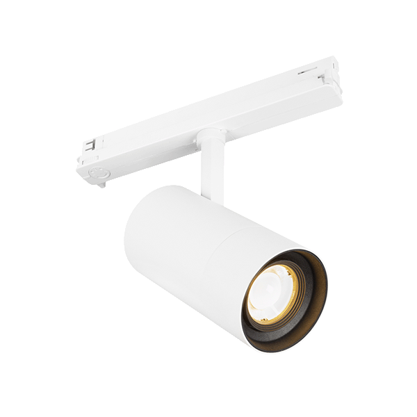 TOKYO 30 DALI | CTT SWITCH - ZOOM