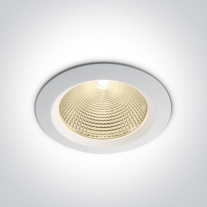 10130CA/W/W Blanco LED 30W WW IP20 60deg 230V