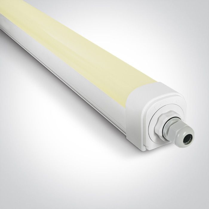 38150LB/C LED 50W CW 1510mm IP66 230V