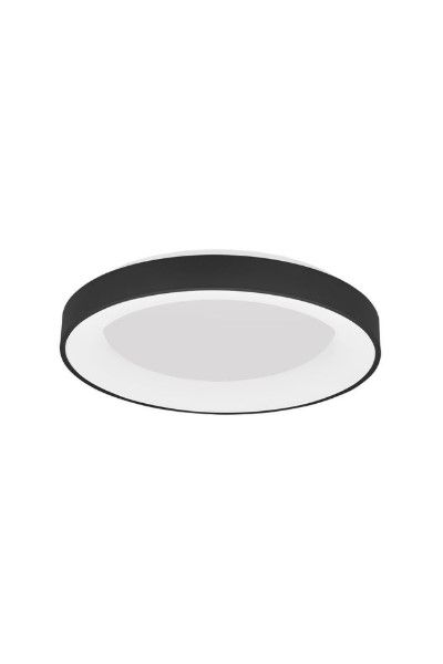 RANDO THIN - 9353853